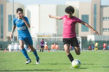 阿森纳俱乐部西班牙球星历年高光时刻 阿森纳著名教授（配图示意）
